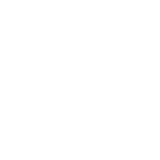 Dachtechnuik Schwindenhammer - Nico Lucas - symbol